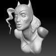 Catwoman_0022_Layer 1.jpg Archivo STL Busto Gatúbela 2 versiones・Objeto imprimible en 3D para descargar