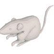 render-6.jpg Low Poly Mouse