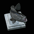 White-grouper-open-mouth-1-29.png fish white grouper / Epinephelus aeneus trophy statue detailed texture for 3d printing