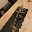 received_800975585125092.jpeg Elasmosaurus skeleton part3