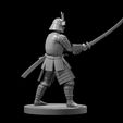 30d455a5-7a7f-4eac-9fa2-c701d401393e.jpg Samurai minis