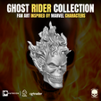 12.png Ghost Rider Head Collection for action figures