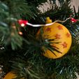 _MG_2158.jpg Boules de dragon