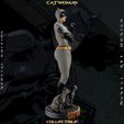 evellen0000.00_00_04_24.Still010.jpg Catwoman Grey Bodysuit - Collectible Edition
