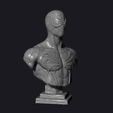 preview4.png 3D file Spiderman Bust・3D printer design to download