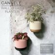 CANNELE_Wall-concrete.jpg CANNELÉ  |  Wall / Fridge Planter