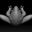 06.jpg 3D PRINTABLE MYTHOSAUR SKULL  HORNS AND SORGAN FROG THE MANDALORIAN