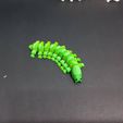 20220307_185656.jpg Caterpillar (Flexi print-in-place)