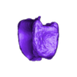 spino_vert_caudal01_scaled.stl Spinosaurus Tail Vertebra