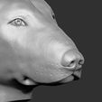 19.jpg Bull Terrier dog for 3D printing