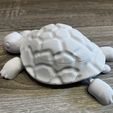 IMG_4450.jpg Fidget Tortoise with Open shell