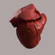 5.png HUMAN HEART SEGMENTED 3D MODEL