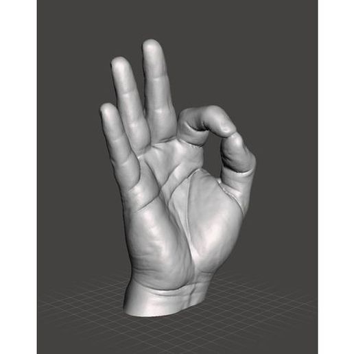 Right Hand Model 3D model
