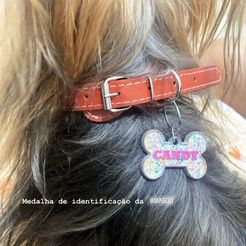 Imagem-do-WhatsApp-de-2023-11-15-à-s-01.49.16_0190e3ce.jpg ID TAG DOG BONE