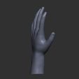 5.jpg low-poly rigging hand model, low-poly rigging hand model