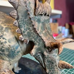 Spiclypeus shipporum