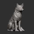 Fox-sitting9.jpg Fox 3D print model
