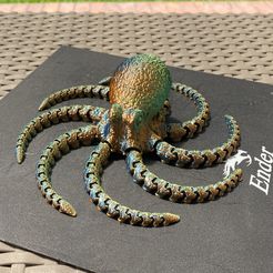 Octopus 2.0