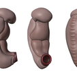 3_Weeks_Matcap_03.png 3 Weeks Human embryonic (baby stages)