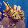 Flexy-Golden-Fish-6.jpg STL file Flexi Golden Fish・3D printer model to download