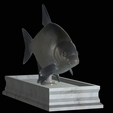 Bream-statue-8.png fish Common bream / Abramis brama statue detailed texture for 3d printing