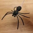 Picture (2).jpg STL file Spider・Model to download and 3D print