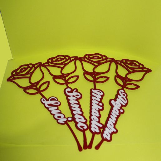 _MG_9681.jpg RosaConNombre