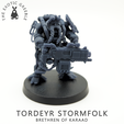 Pose-2-Front.png 3D-Datei Sturmvolk von Tordeyr・Modell für 3D-Drucker zum Herunterladen