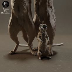 meerkats_6.jpg Fichier STL Suricates・Modèle à imprimer en 3D à télécharger