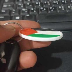 398342214_10227267994784192_6863273759413817977_n.jpg Palestinian flag key ring