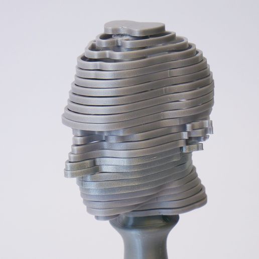 Helicone Head_Dominik Cisar_004.jpg Download STL file Helicone Head - Toy - Turning bust • 3D printing template, cisardom