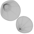 uv-map.png Fan Shape Shell