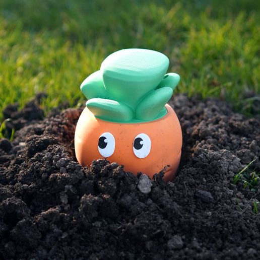 carotte10.jpg Carlo the Carrot Container