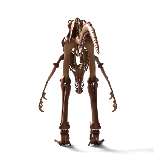 💀 Utahraptor Skeleton – Detailed Prehistoric Raptor Model for 3D ...