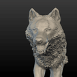 Wolf_Pose-06.png Wolf Figure