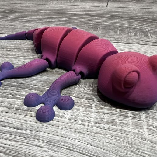 IMG_1319.jpeg Cute Geko