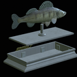 Zander-money-4.png fish sculpture of a zander / pikeperch with storage space for 3d printing
