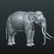 Elephant_pr-01.png Elephant