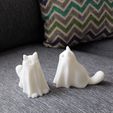 20221005_173356.jpg Gato fantasma / жуткий кот