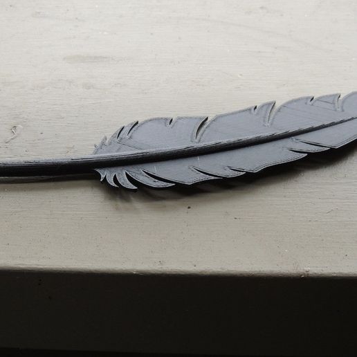 DSCN0480_display_large.jpg Pluma