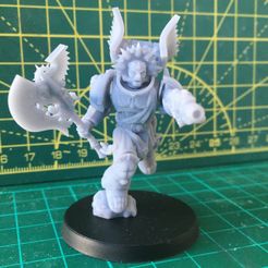 Sanguine Angel Lord (Alighieri)
