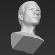 23.jpg Van Damme Kickboxer bust 3D printing ready stl obj formats