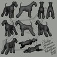 SailorTheMiniSchnauzerDigitalRender.jpg Sailor - Miniature Schnauzer