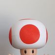 Toad from Mario games - Multi-color