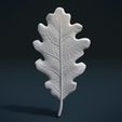 Oak_Leaf_y-0001.jpg Oak Leaf
