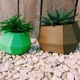 Planter-V2_3.jpg Free STL file Geometric planters v2・Object to download and to 3D print