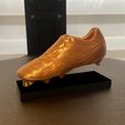 IMG_0292.jpg Golden Boot Official - Golden Boot Official