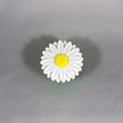 Daisy-Clicker-1-12.jpg Daisy Clicker / Daisy Keychain / Fidget - No AMS - Commercial License Included