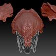 PREY-HELM7.jpg Preda predatore ferale testa e casco bio