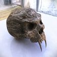 SkullRenderFinal.jpg Tribal Sabre Tooth Skull